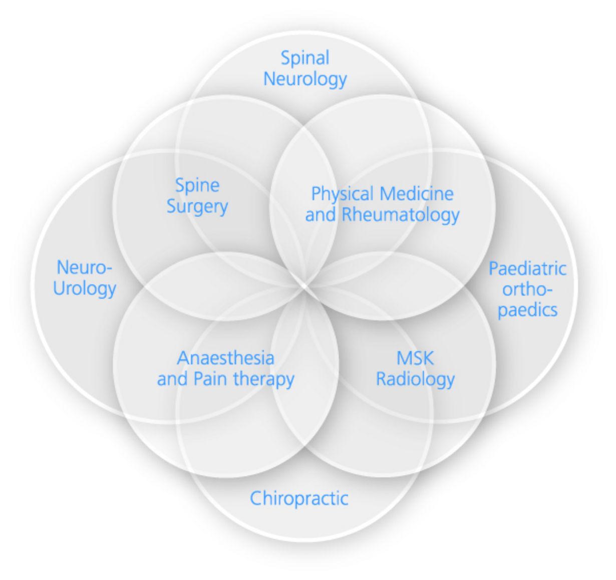 Eight interdisciplinary units are highly specialised in spine medicine