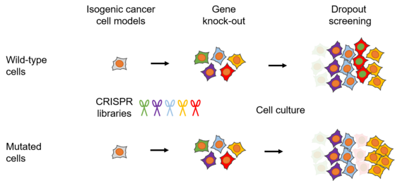Grafische Darstellung verschiedener Gene in unterschiedlichen Farben.