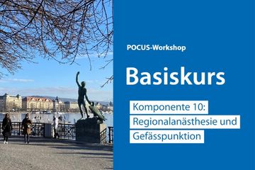 [Translate to Englisch:] Anzeigebild zum POCUS-Workshop. Rechts der Veranstaltungsname und links ein Bild vom Zürich-Seeufer.