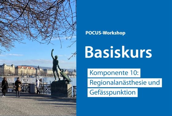 Anzeigebild zum POCUS-Workshop. Rechts der Veranstaltungsname und links ein Bild vom Zürich-Seeufer.