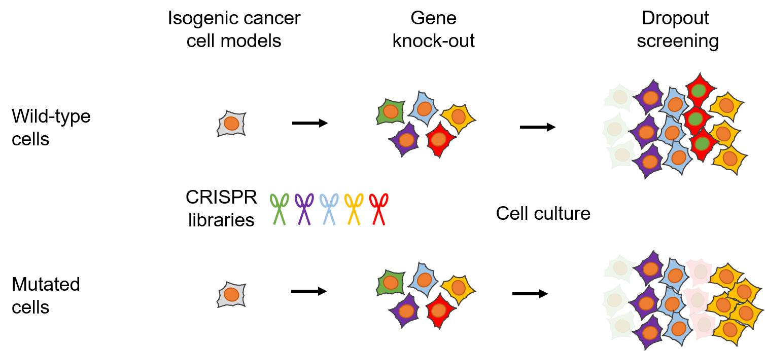 Grafische Darstellung verschiedener Gene in unterschiedlichen Farben.
